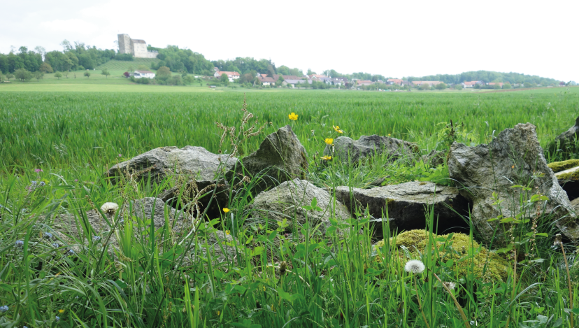 Klopfplatz