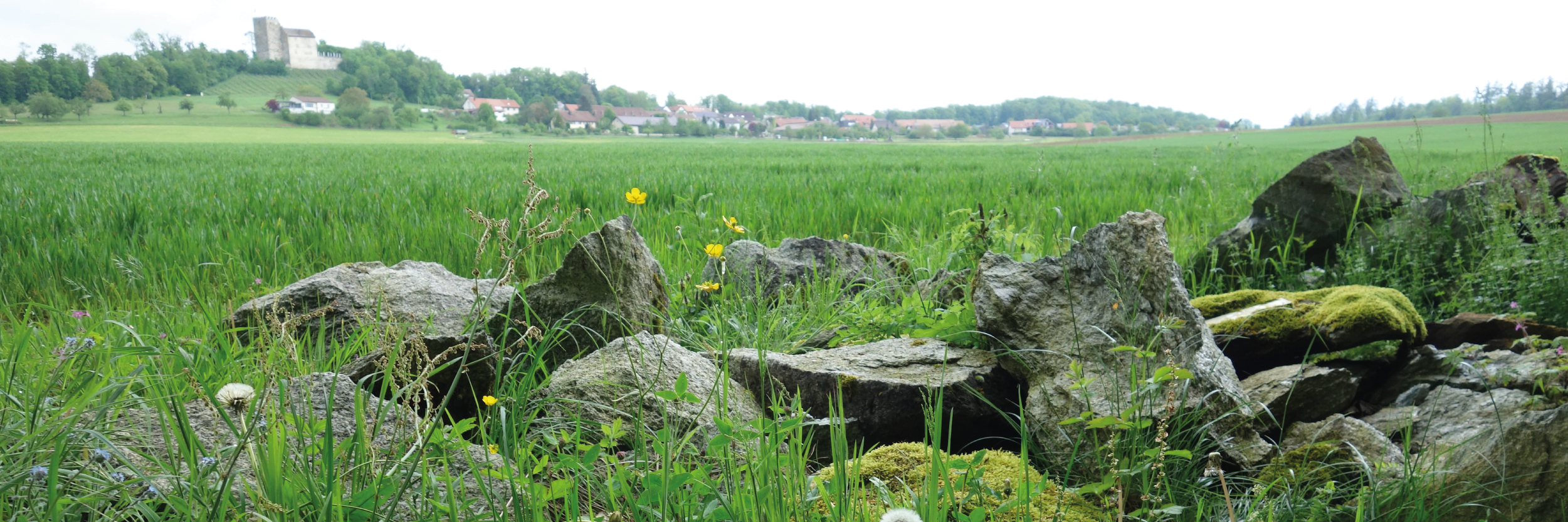 Klopfplatz